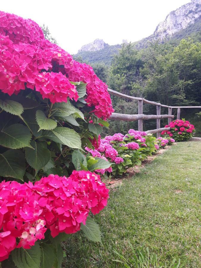 Ort Holiday'S Time Orco Feglino Exterior foto